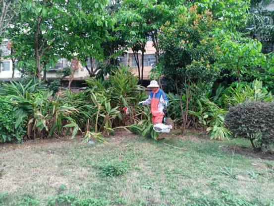 1539751a98c1dcf5de9357f202e3953