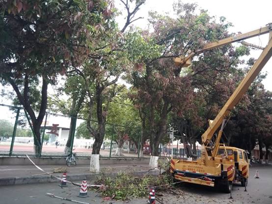 017312ef5171e59236203515e3ce119