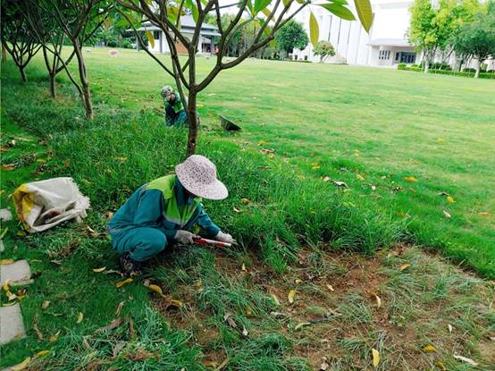 04f317fd8854066c665072a54cbe873