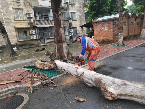 6f541dbf6b23c3d69cedb385dddf714