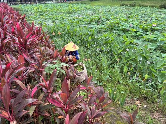 3c15f77cecc2965374e2f1dce1046d2