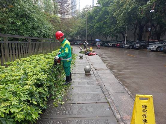 13b54845d9558bb2cd62d0fcd4b8098