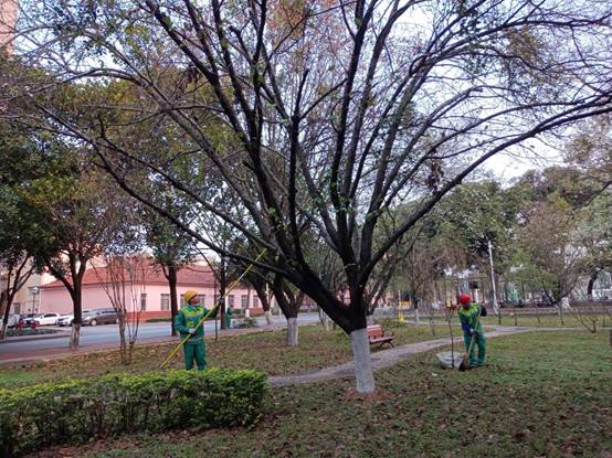 b3b99c9b213067e22112034e1dc71b4