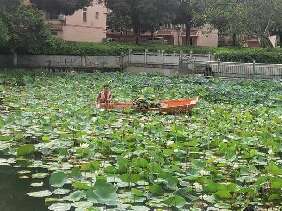 647cae9d98604b15f9a5cbae66ac4e7