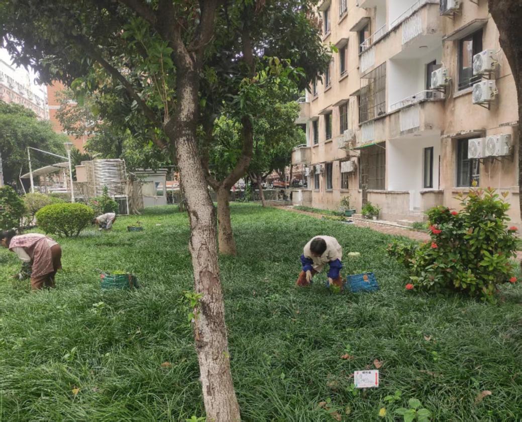 1b608158a2a0b00570e71c39a71144bd