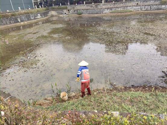 7d9951cd0c55ea2a18d188ffa2f9381