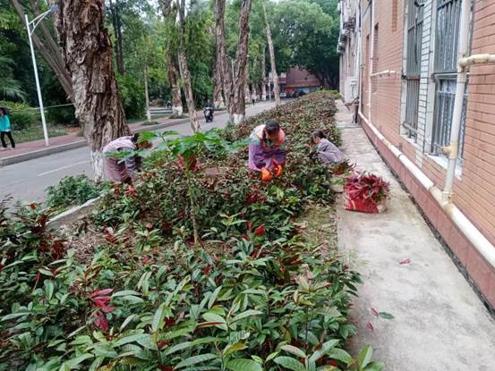 说明: 5eba7a5d872027ead248e70933ae3de