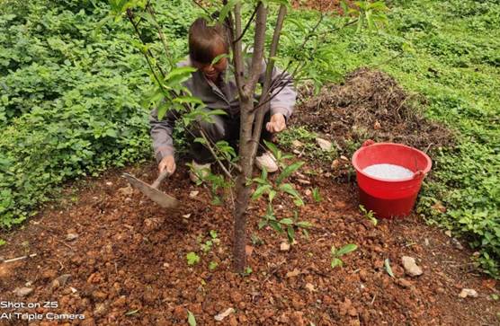 说明: da01405222fd2feeb7b70a22807a0e1