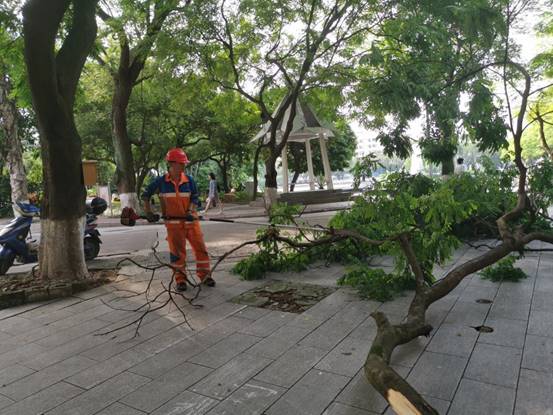 d07adbb0409315adc80456869f4d348