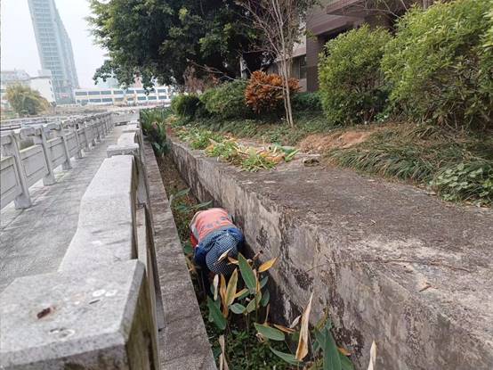 d3f7529636a490bdaf8d452fc61366a