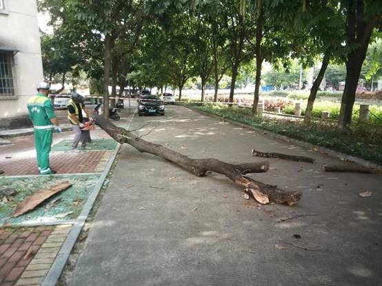 813bb2f8bcf535511b69d7dea586b92