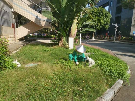 e29ba08c38b161a3cbdfc78006bfea7